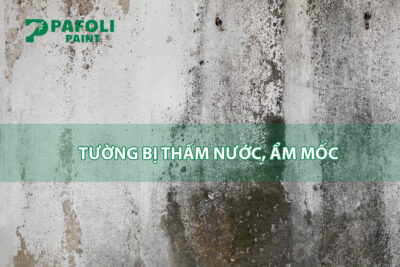 Cách khắc phục tường bị thấm nước