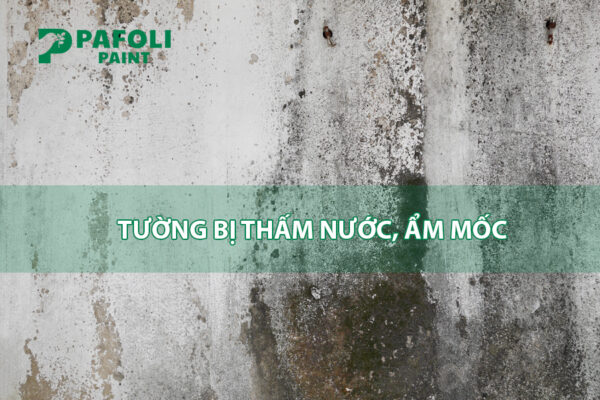 Cách khắc phục tường bị thấm nước