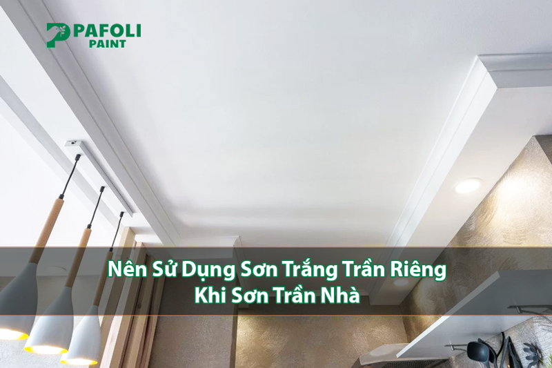 Sơn trắng trần là gì