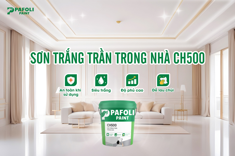 Sơn trắng trần Pafoli CH500