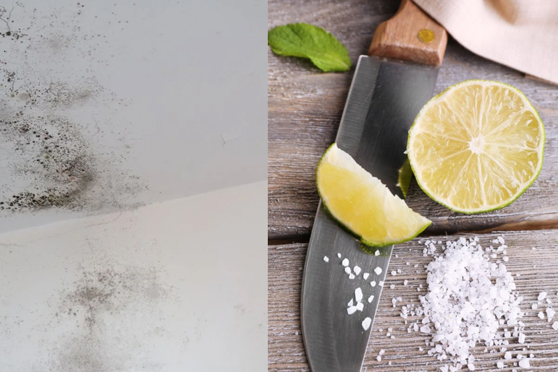 Cách tẩy mốc trên tường sơn bằng chanh và muối