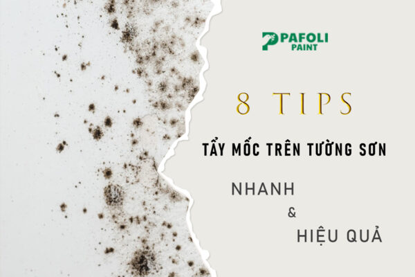 cách tẩy mốc trên tường sơn
