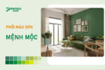 màu sơn hợp mệnh mộc