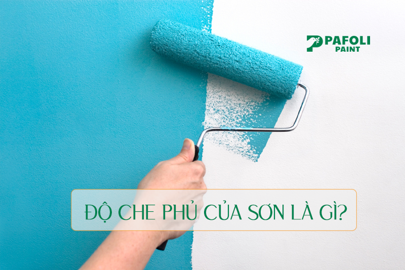 độ che phủ của sơn