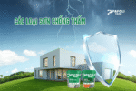 các loại sơn chống thấm tường