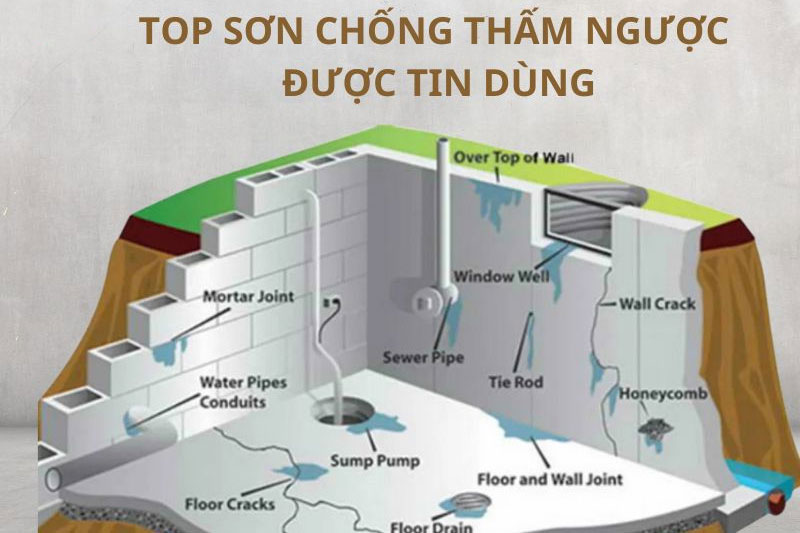 Chống thấm ngược