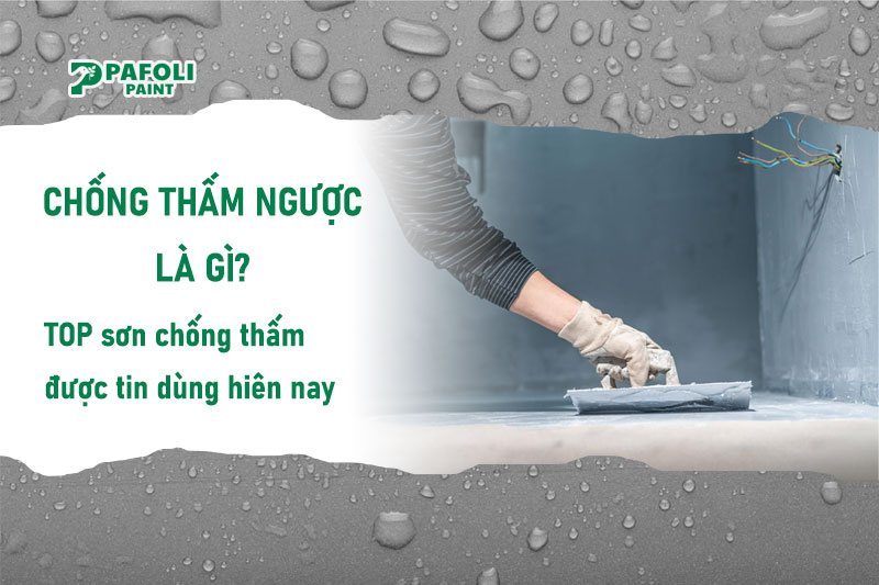 Chống thấm ngược là gì