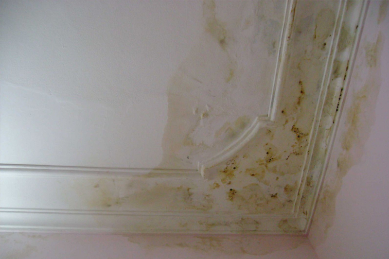 chống thấm trần nhà