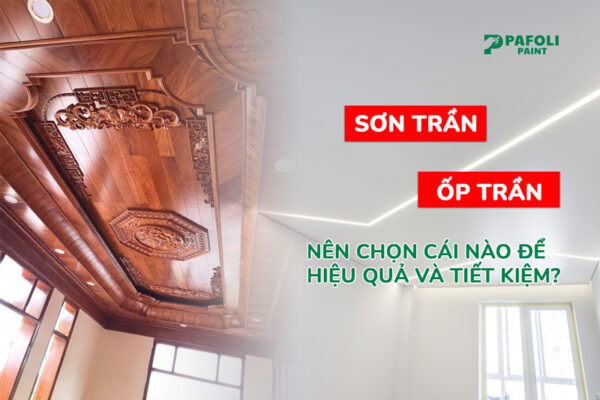 nên sơn trần hay ốp trần