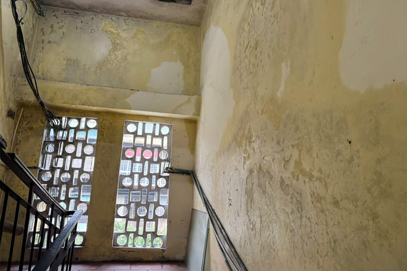 tường bị ẩm mốc phải làm sao