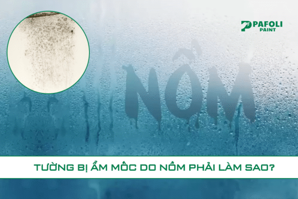 tường bị ẩm mốc phải làm sao