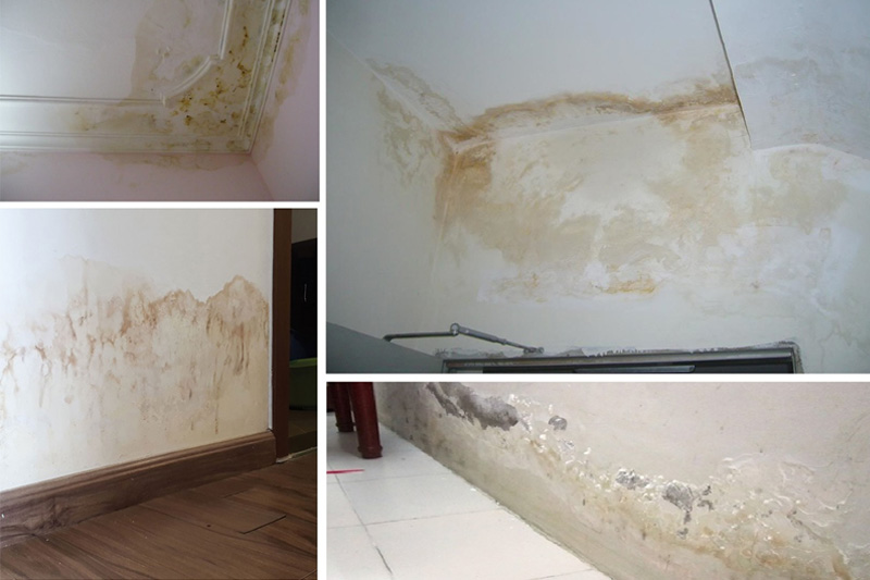 Bao lâu nên sơn lại nhà một lần là hợp lý? 3 bao lâu nên sơn lại nhà