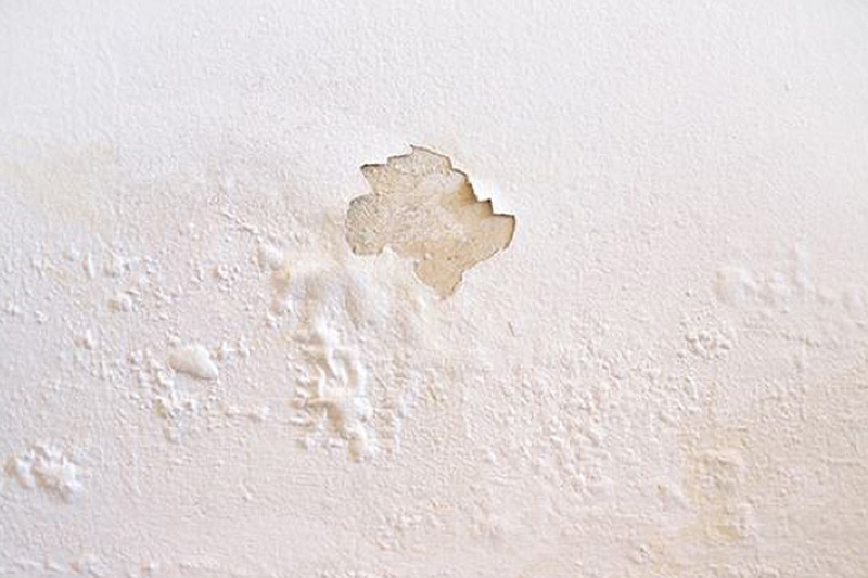 Độ ẩm tường bao nhiêu thì sơn được? Thông số vàng từ chuyên gia 5 độ ẩm tường bao nhiêu thì sơn được