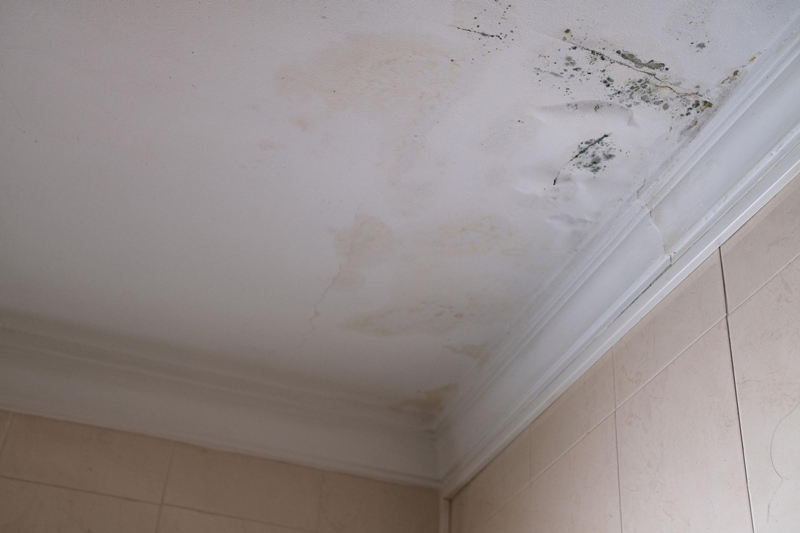 sàn bê tông bị thấm nước