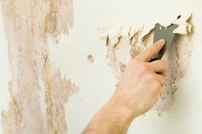 tường bị nứt chân chim