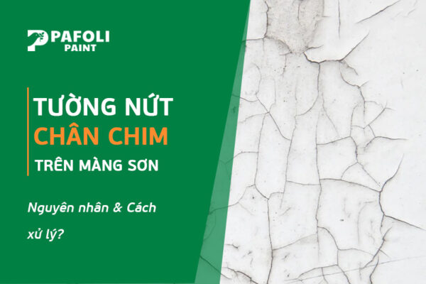tường bị nứt chân chim