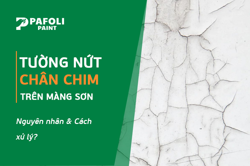 tường bị nứt chân chim