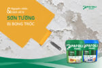 màng sơn bị phồng rộp bong tróc